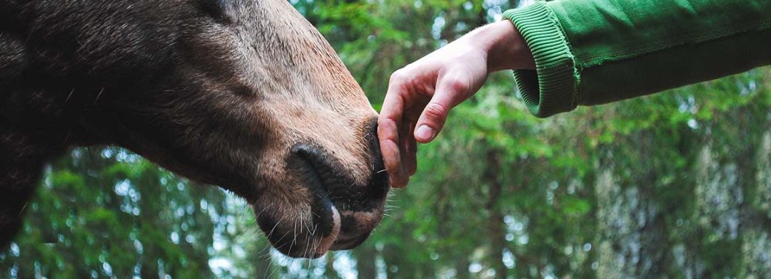 心靈的傷，身體會記住